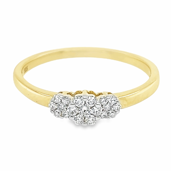 14 karaat geelgouden ring met diamant 0.02 crt. - Solitair