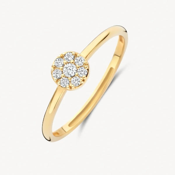 14 karaat geelgouden ring - Blush - 1277YZI