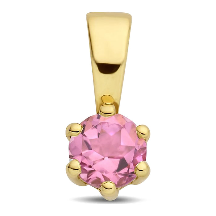 Met geboortesteen hanger OKTOBER: Roze toermalijn - 14 karaat geelgoud - Hutjens - 14k Geelgoud