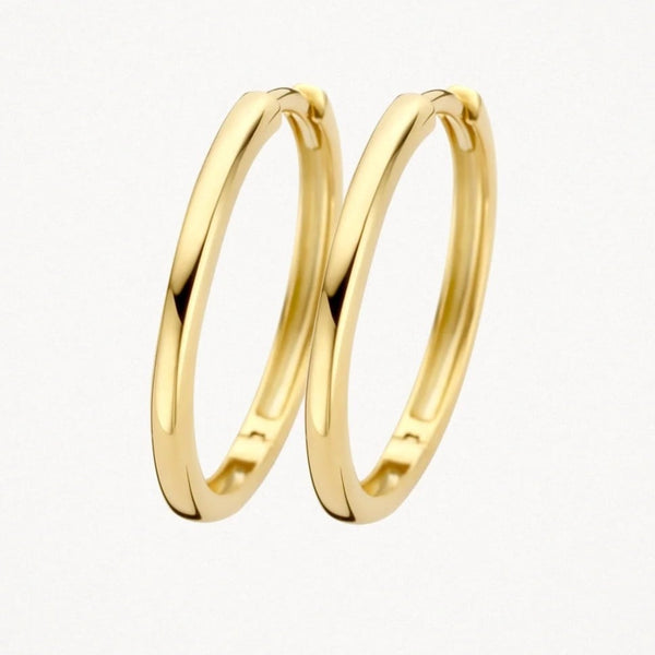 14 karaat geelgouden oorstekers - Blush - 7274YGO