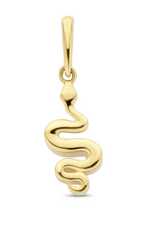 14 karaat geelgouden ketting met slangen hanger - Hutjens