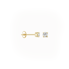 14 karaat geelgouden oorstekers - Blush - 7212YZI