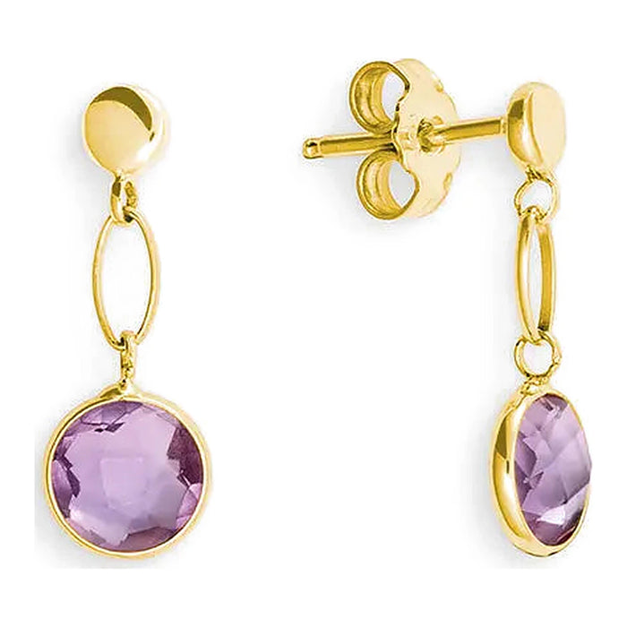 Oorsieraden Amethist - Hutjens - 14k Geelgoud