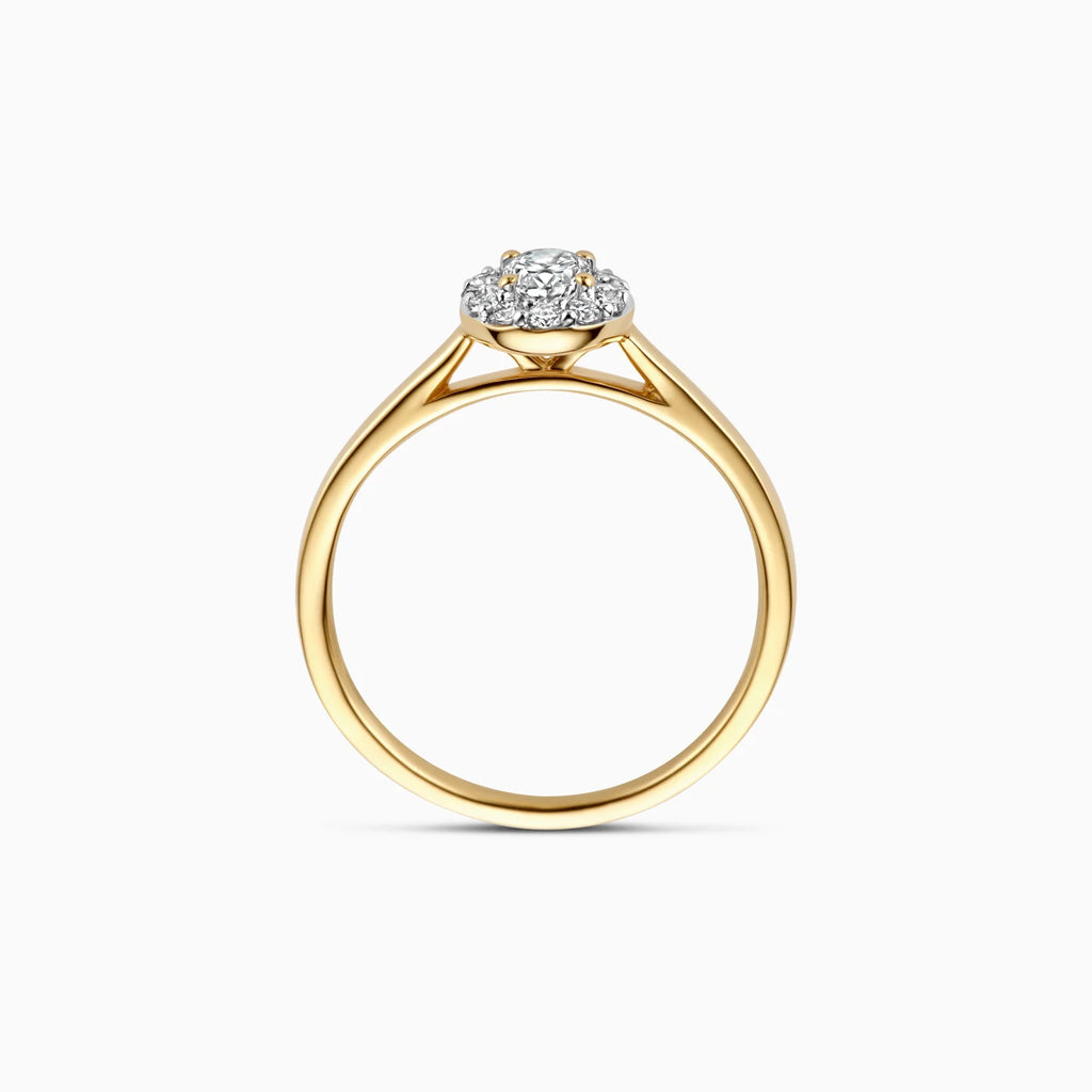 Ring - Blush Lab Grown - 14k Geelgoud