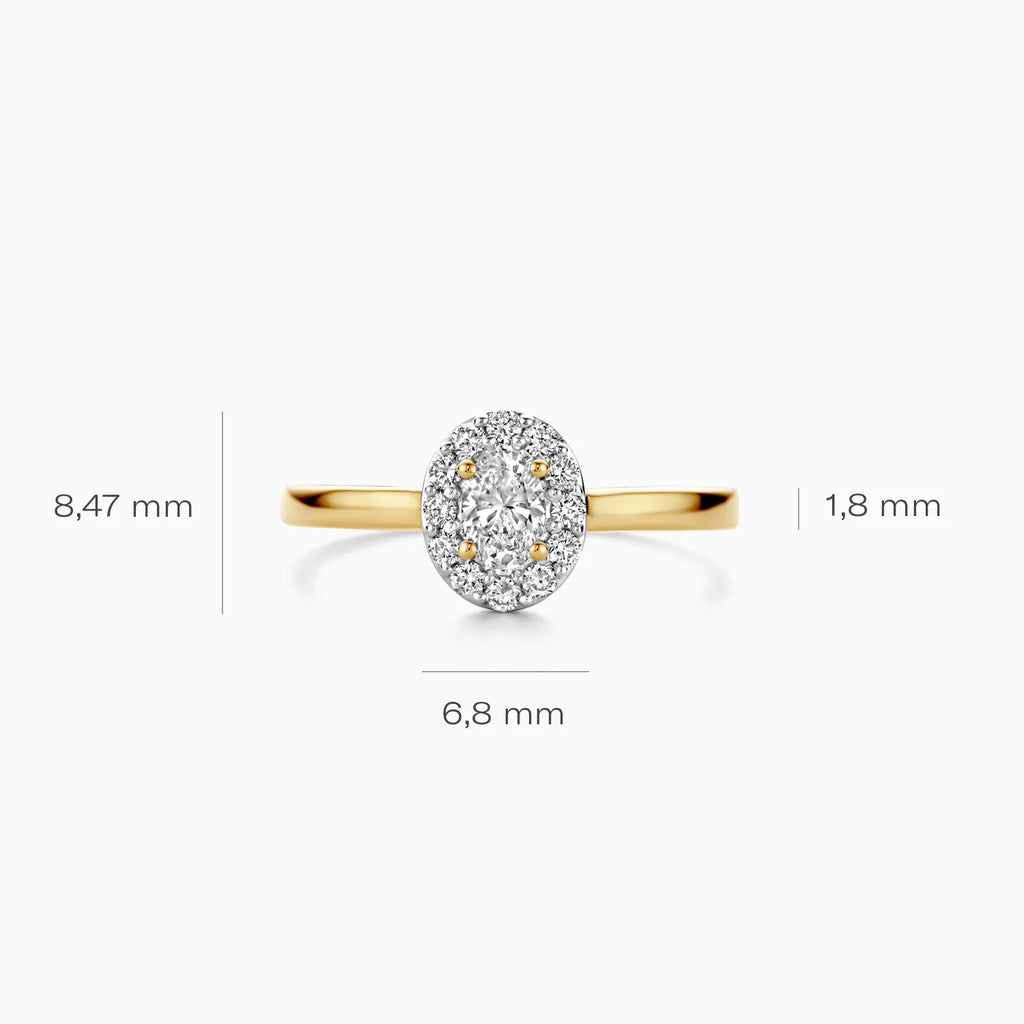 Ring - Blush Lab Grown - 14k Geelgoud