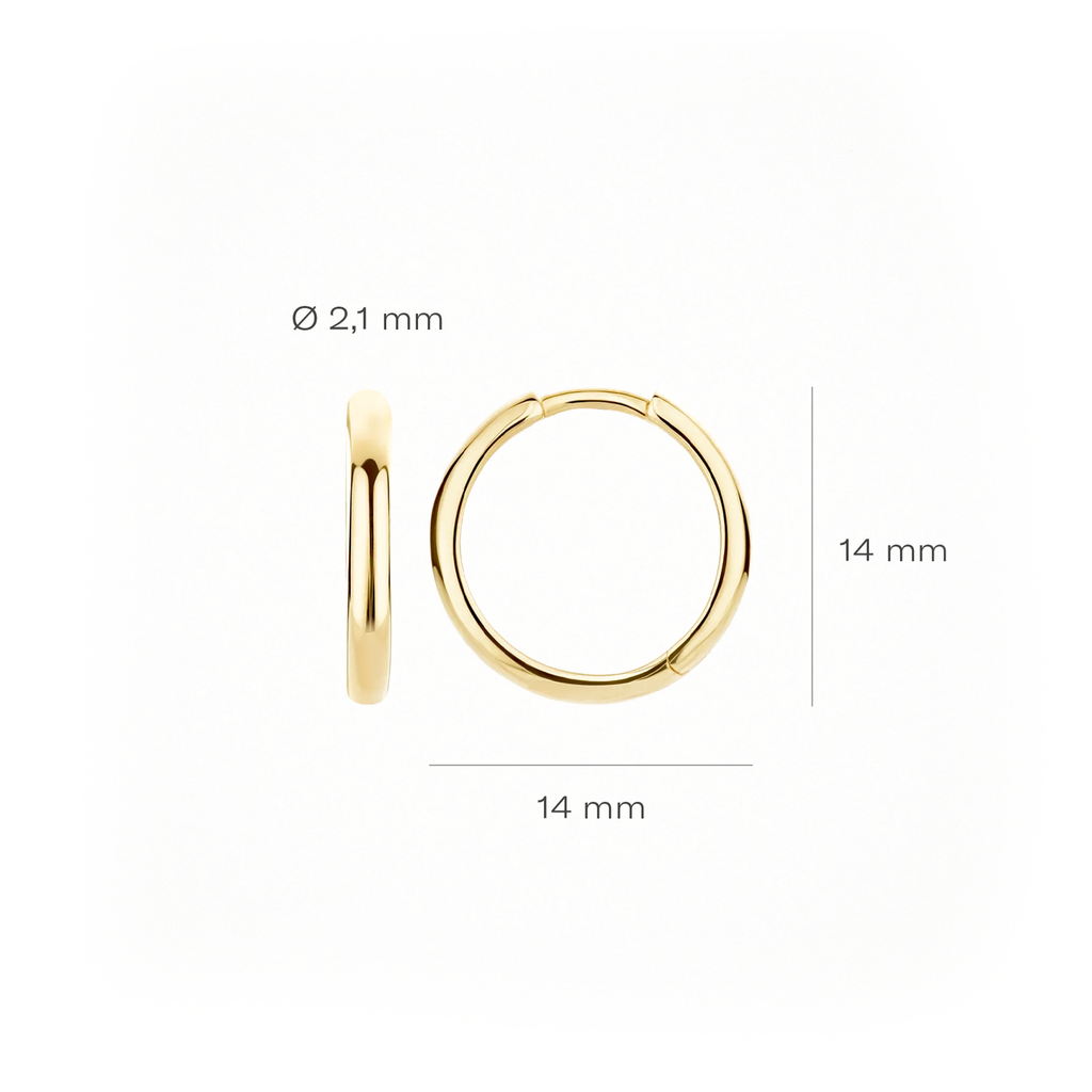 14 karaat geelgouden oorstekers - Blush - 7271YGO