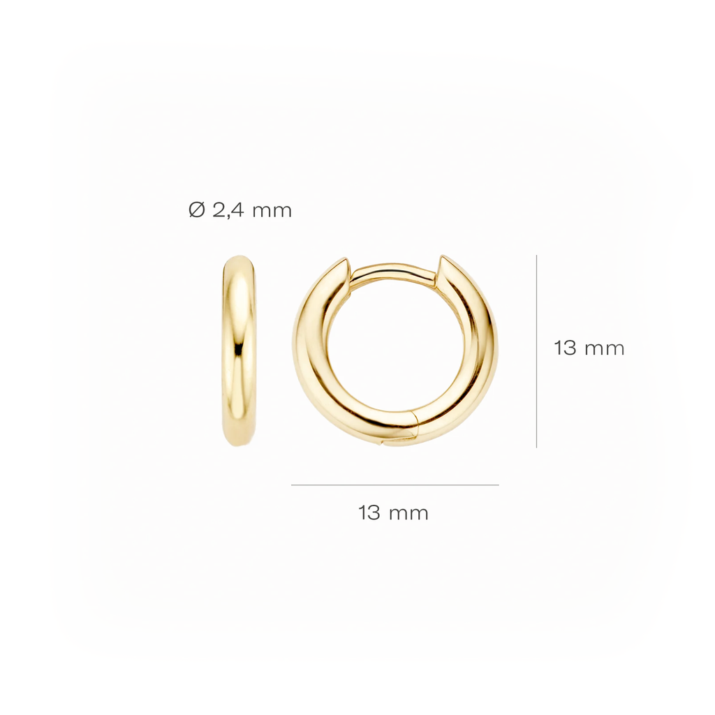 14 karaat geelgouden oorstekers - Blush - 7165YGO