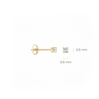 14 karaat geelgouden oorstekers - Blush - 7211YZI