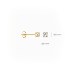 14 karaat geelgouden oorstekers - Blush - 7212YZI