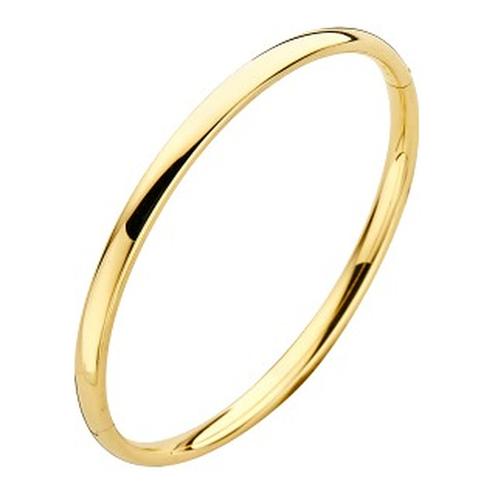 Ovaal 4 mm - Bangle armband - Fjory - 14k Geelgoud