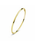 Rond 4 mm - Bangle armband - Fjory - 14k Geelgoud