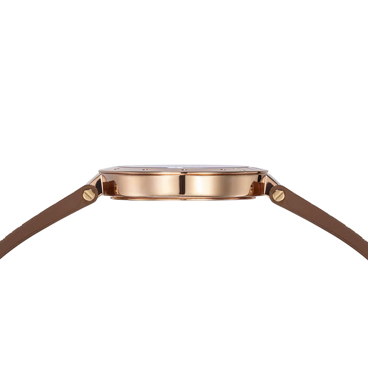 Balmainia Bijou - Balmain - Roestvrij Staal - B42595247