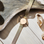 IV06Q1268_social1_900x