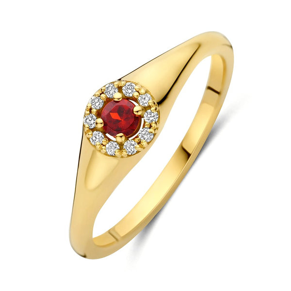 Ring Signet Mini Milestone Halo - Minioro - 14k Goud