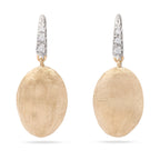 OB1691-A_B1_YW_Q6_01