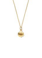 seashell-pendant-14k-goud