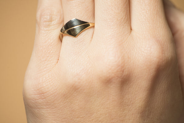 Gouden ring - Trio -  Combinatie geel met witgoud