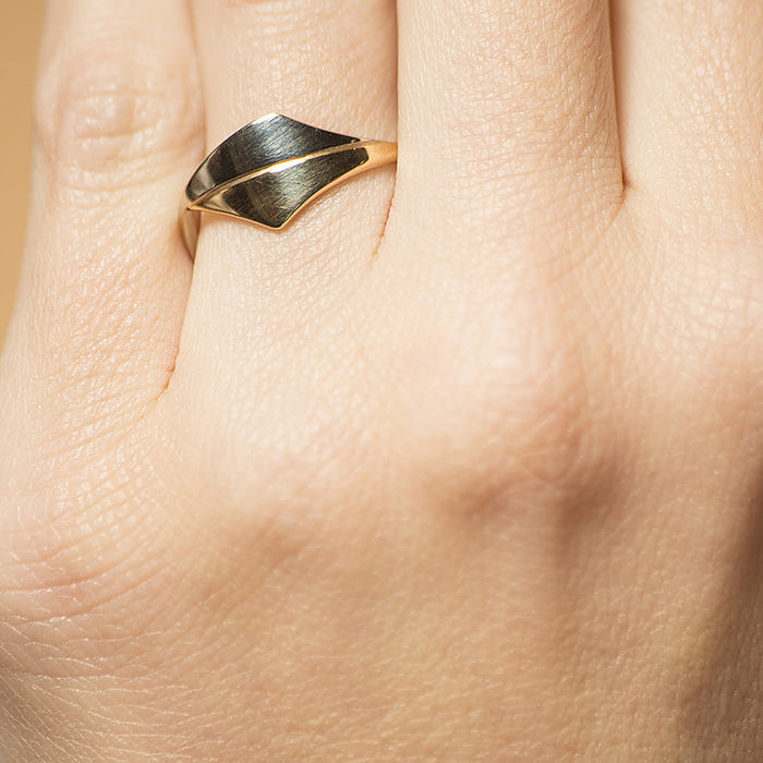 Gouden ring - Trio - Combinatie geel met witgoud - Hutjens Trio - 14k Bicolor Goud